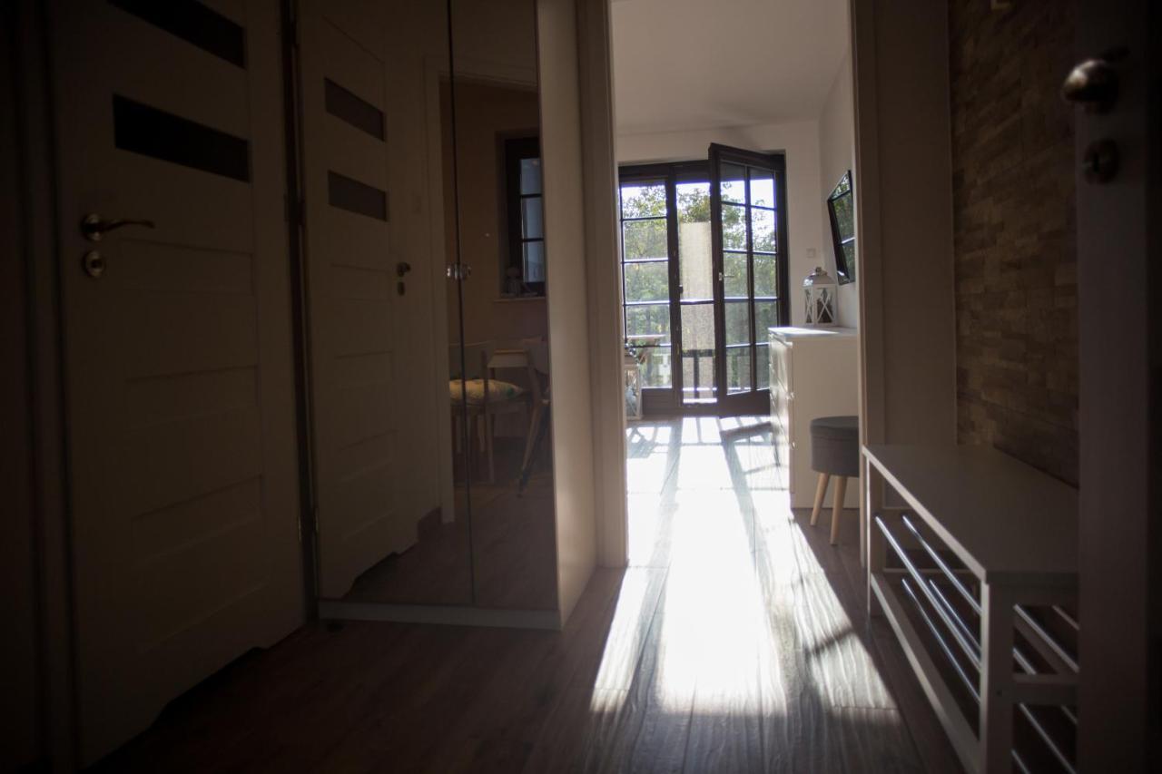 Apartament Kameralny 卡齐米日-多尔尼 外观 照片