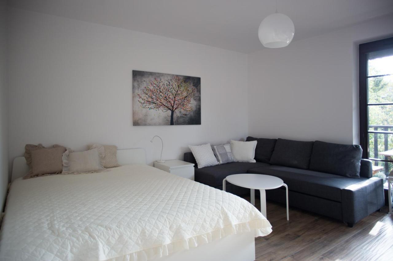 Apartament Kameralny 卡齐米日-多尔尼 外观 照片